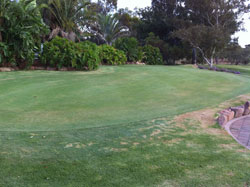 Practice - Putting Green » Click to zoom ->